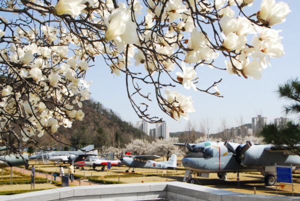 대전현충원이 봄을 맞아 핀 각종 꽃들로 봄내음을 물씬 풍기고 있다.
