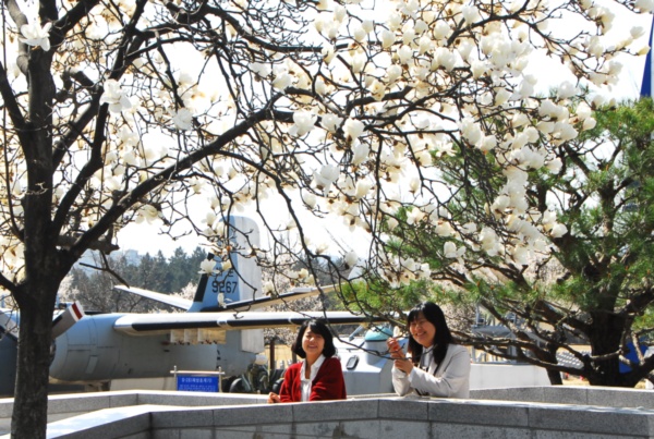 대전현충원이 봄을 맞아 핀 각종 꽃들로 봄내음을 물씬 풍기고 있다.