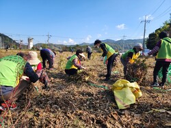 24일 대전 화재 참사 유가족을 도와 농촌일손 봉사활동 장면