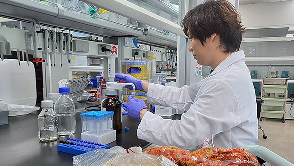 대전 보건 환경 연구원이 학교 급식 납품 김치류의 집중 점검을 실시한다.