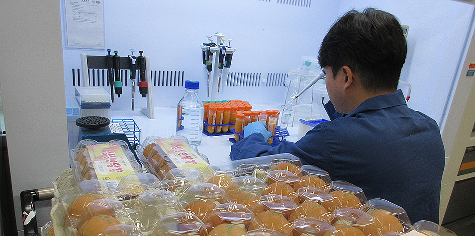 대전 보건 환경 연구원이 시중에 유통 중인 달걀을 수거해 유해 잔류 물질을 검사한 결과 모두 검출되지 않아 안전한 것으로 나타났다.