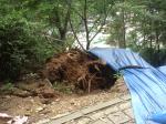 [ 시티저널 신유진 기자 ] 연일 내린 비로 전국이 산사태 비상인 가운데 대전중구 보문산의 산 일부가 무너져 차량통행이 금지, 나무가 뿌리채 뽑혀 그냥로 방치되고 있다.
