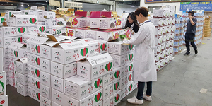 대전 보건 환경 연구원 연구원이 농수산물 도매 시장 농산물 수거와 점검을 하고 있다.